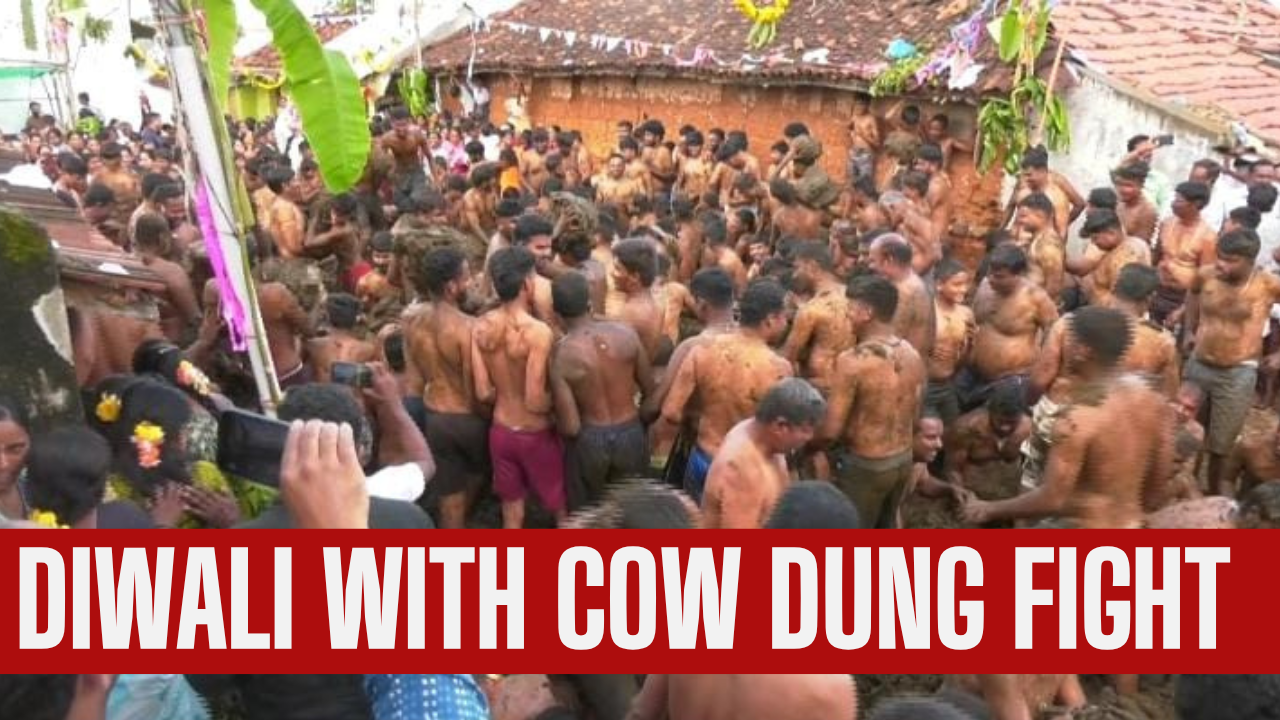 This Indian village celebrates end of Diwali with cow dung fight