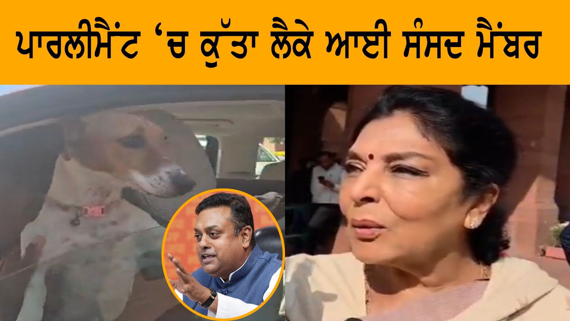 ਪਾਰਲੀਮੈਂਟ ‘ਚ ਕੁੱਤਾ ਲੈਕੇ ਆਈ ਸੰਸਦ ਮੈਂਬਰ