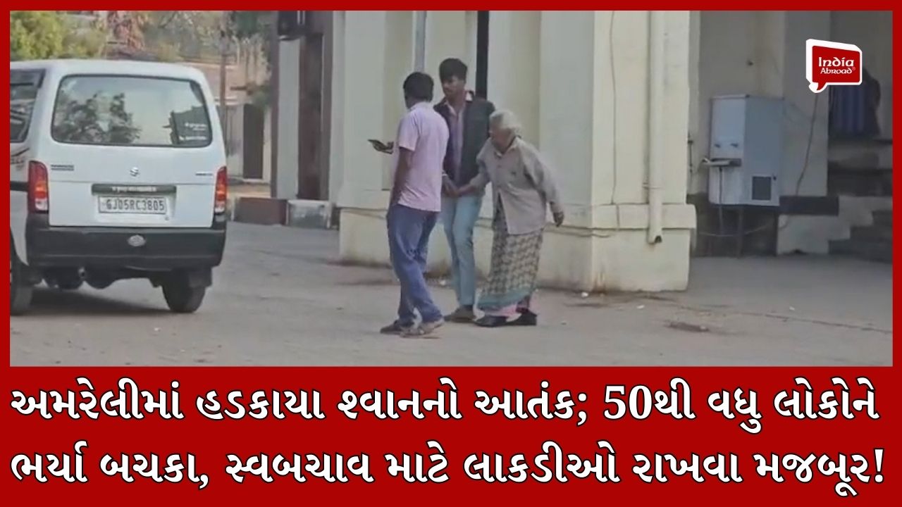 અમરેલીમાં હડકાયા શ્વાનનો આતંક; 50થી વધુ લોકોને ભર્યા બચકા, સ્વબચાવ માટે લાકડીઓ રાખવા મજબૂર!