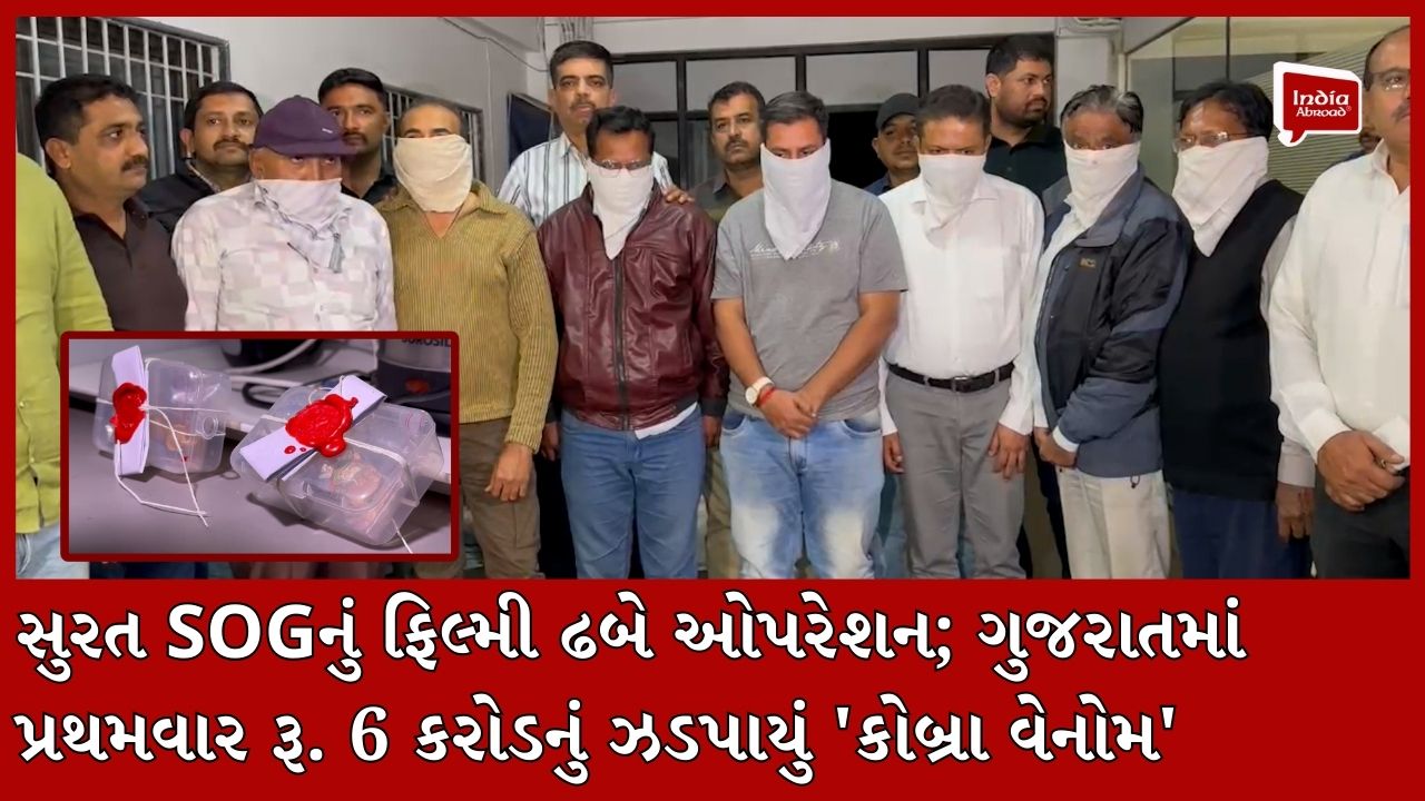 સુરત SOGનું ફિલ્મી ઢબે ઓપરેશન; ગુજરાતમાં પ્રથમવાર રૂ. 6 કરોડનું ઝડપાયું 'કોબ્રા વેનોમ'