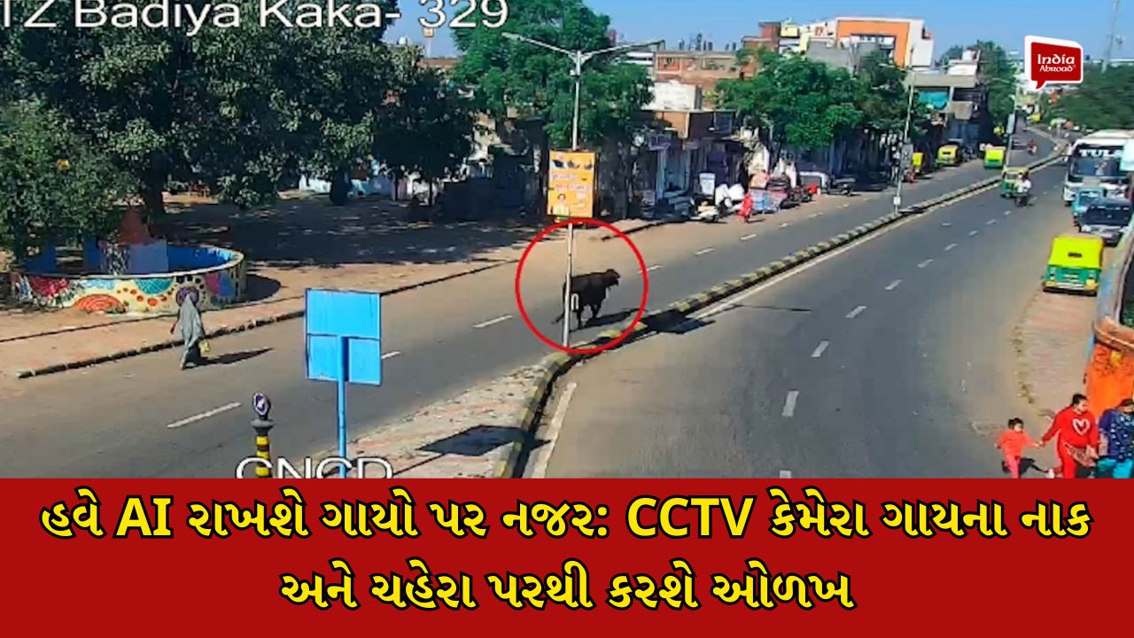 હવે AI રાખશે ગાયો પર નજર: CCTV કેમેરા ગાયના નાક અને ચહેરા પરથી કરશે ઓળખ