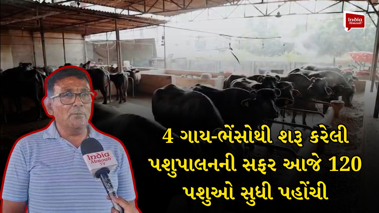 4 ગાય-ભેંસોથી શરૂ કરેલી પશુપાલનની સફર આજે 120 પશુઓ સુધી પહોંચી
