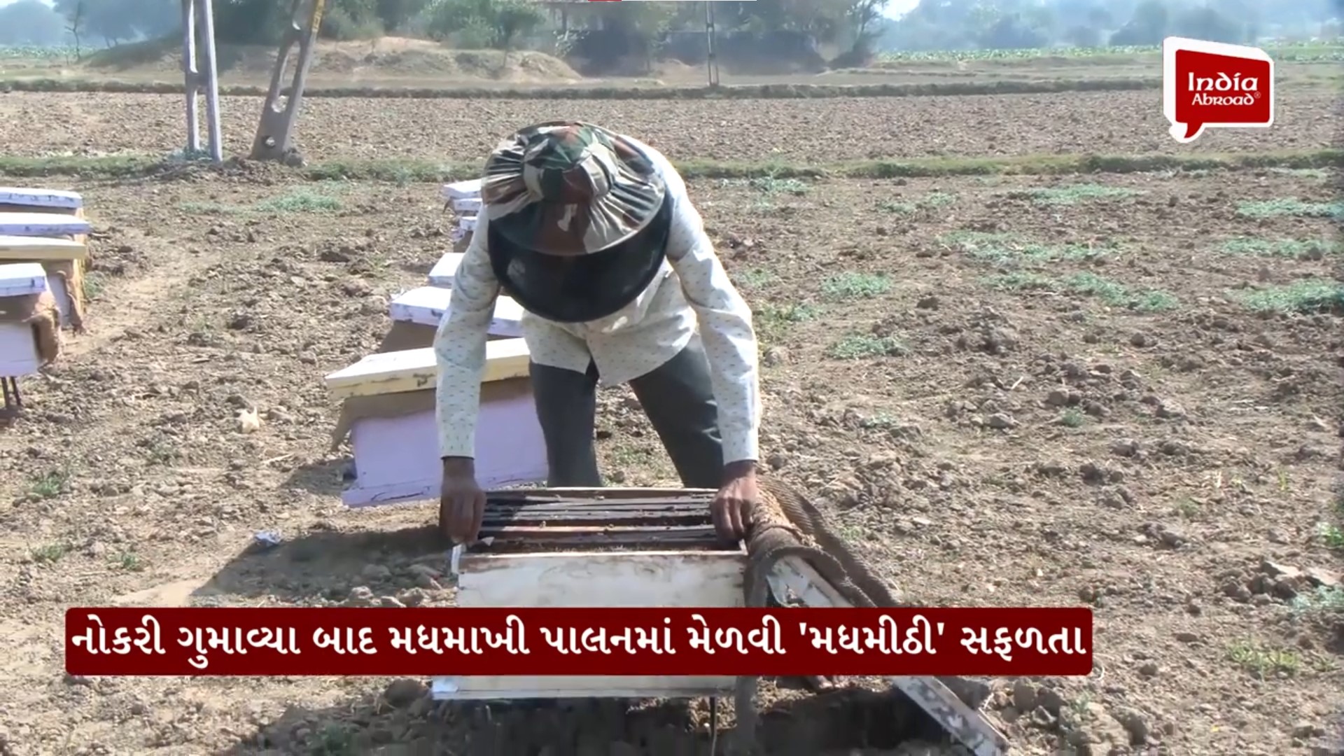 ખેડાના ખેડૂતો મધમાખી પાલનથી મેળવી 'મધમીઠી' સફળતા, વાર્ષિક રૂ. 1.50 કરોડની કમાણી