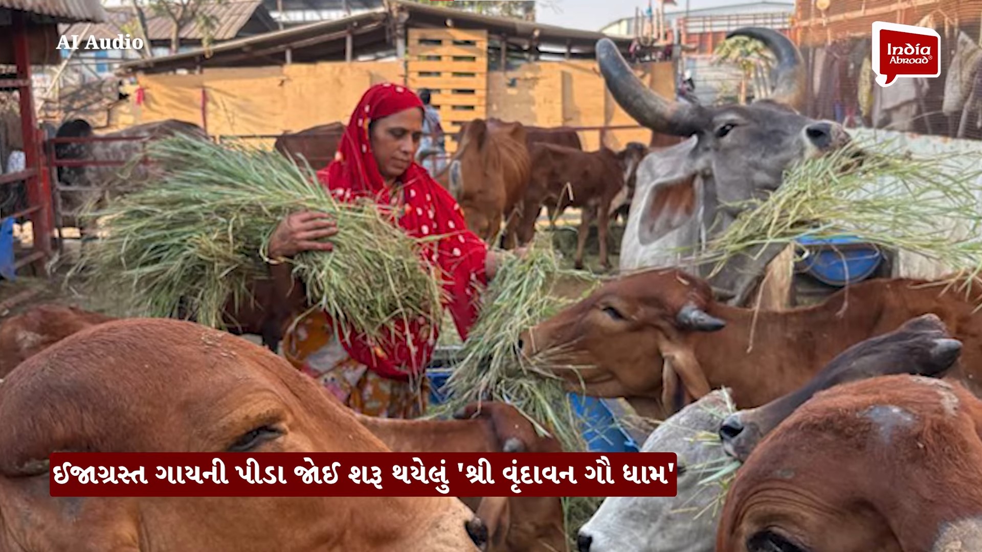 સુરતની 250 મહિલાઓ ભજન-કીર્તન કરી ચલાવે છે 550 ગૌમાતાનું 'ગૌધામ' 