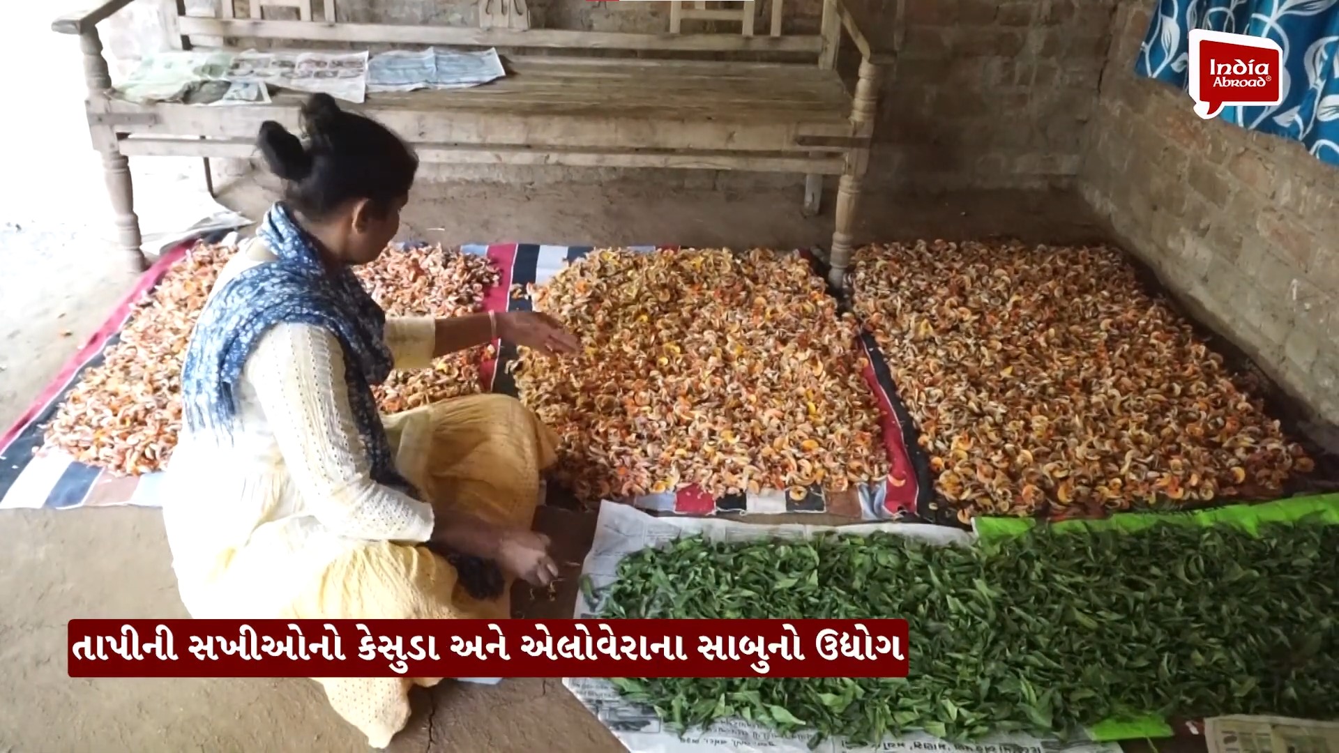 કેસુડા અને એલોવેરાના સાબુ બનાવવાનો ગૃહઉદ્યોગ, માસિક રૂ. 1 લાખનું વેચાણ, જાણો વિગત