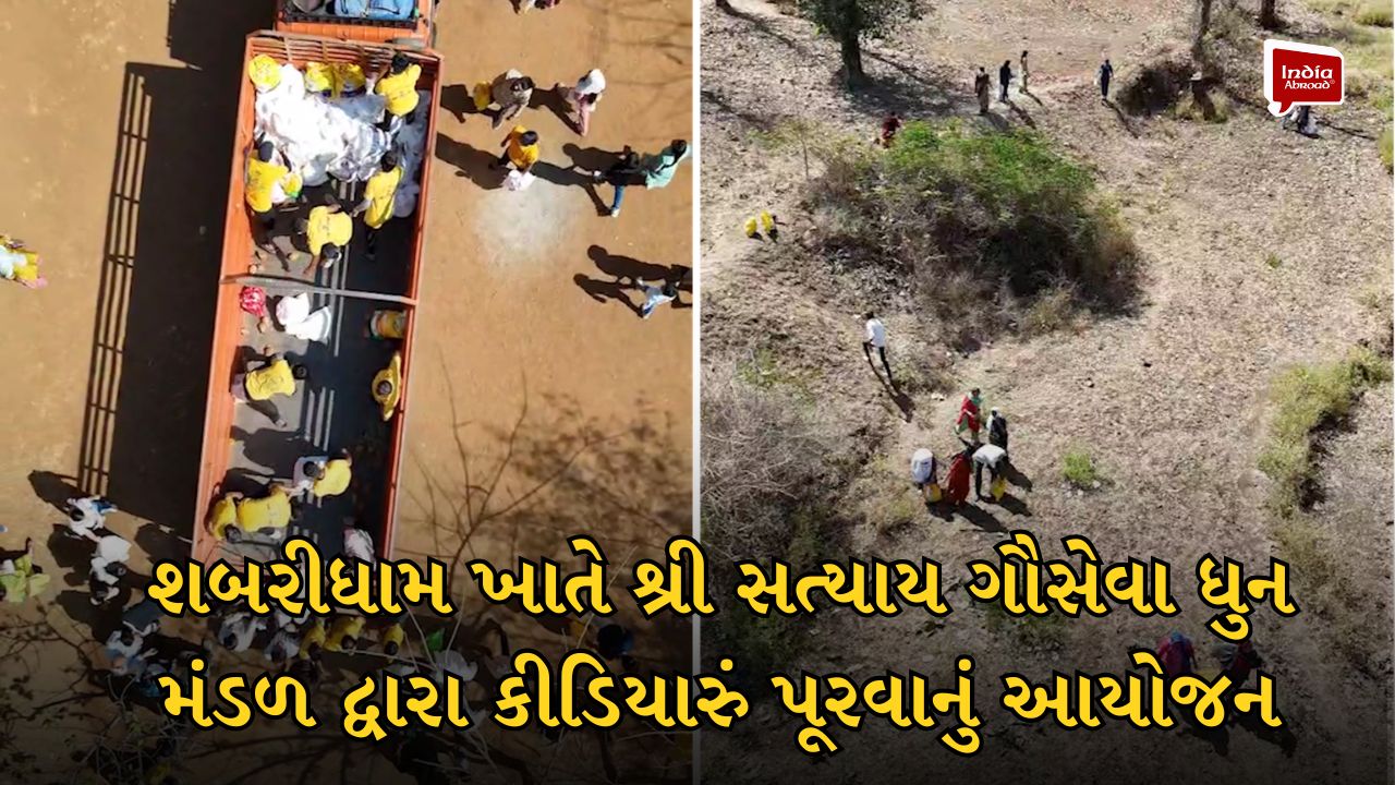 શબરીધામ ખાતે શ્રી સત્યાય ગૌસેવા ધુન મંડળ દ્વારા કીડિયારું પૂરવાનું આયોજન