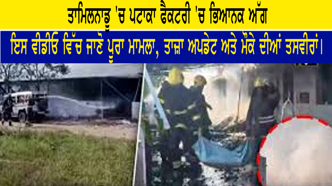 ਤਾਮਿਲਨਾਡੂ 'ਚ ਪਟਾਕਾ ਫੈਕਟਰੀ 'ਚ ਭਿਆਨਕ ਅੱਗ 