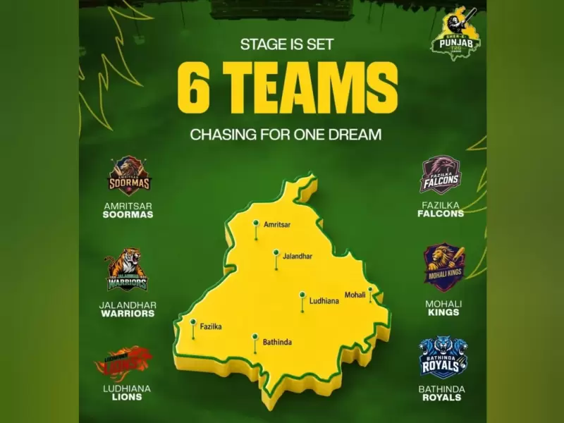  ਸ਼ੇਰ-ਏ-ਪੰਜਾਬ T20 ਲੀਗ 